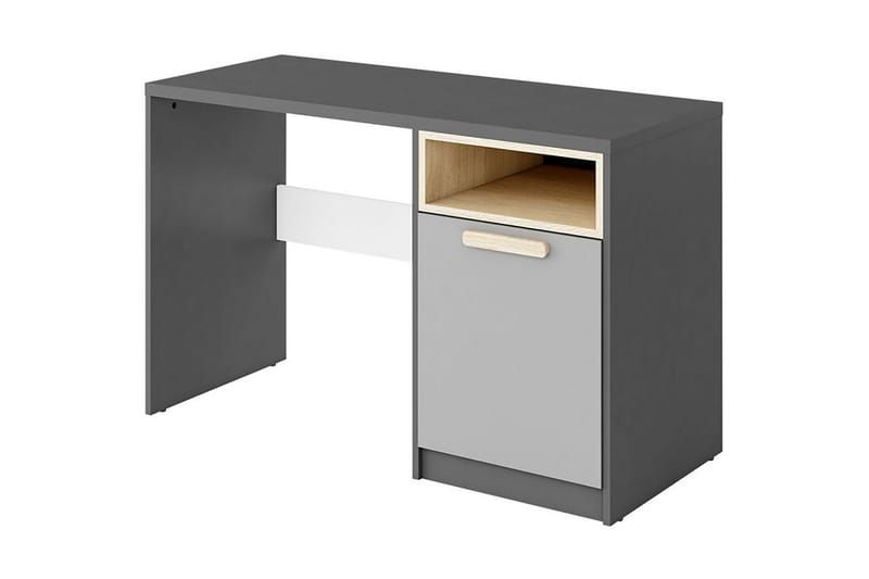 BIOLLET Skrivbord 120 cm med Förvaring Skåp + Hylla Svart/Vi