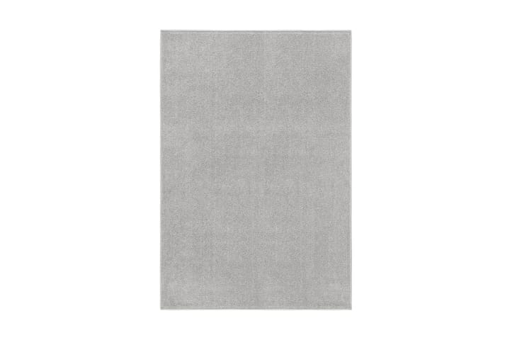 Matta 160x230 cm ljusgrå - Grå - Textilier & mattor - Mattor - Utomhusmattor - Plastmattor