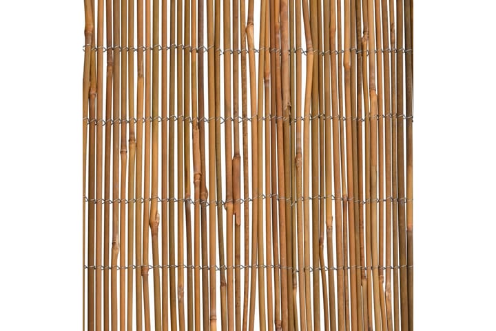 Bambustaket 500x100 cm